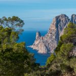 A Journey Through Ibiza’s Flora and Fauna